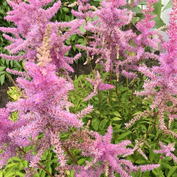 MAKE AN OFFER - Picture 1 of 1